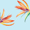 Birds of Paradise Summer Galaxy Book 12in Skin
