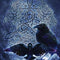 Celtic Raven by Brigid Ashwood Beats Solo Pro Skin