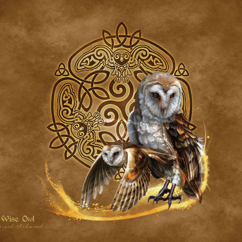 Owl Celtic Knot by Brigid Ashwood Studio Wireless 3 Skin