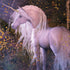 Autumn Glow Unicorn by Laurie Prindle iPhone 15 Skin
