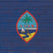 Guam Flag Dark Wood Beats Solo Pro Skin