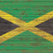 Jamaican Flag Dark Wood PlayStation VR2 Skin