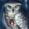 White Owl by Ed Beard Jr iPhone 7 Folio Case