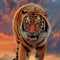 Rising Tiger by Vincent Hie iPhone 7 Folio Case