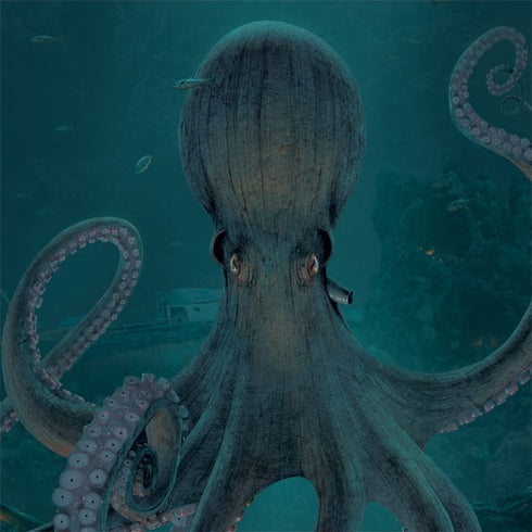 Giant Octopus by Vincent Hie Apple Pencil (2nd Gen 2019) Skin