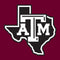 Texas A&M University Black Logo Wii (Includes 1 Controller) Skin