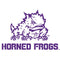 Texas Christian University Horned Frogs TCU Wii Remote Controller Skin