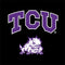 Texas Christian University TCU Horned Frogs Logo Wii (Includes 1 Controller) Skin