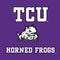 Texas Christian University Mascot Wii (Includes 1 Controller) Skin