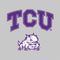 Texas Christian University Horned Frogs Logo Print Nintendo 2DS XL (2017) Skin