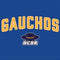 University of California-Santa Barbara Gauchos Wii (Includes 1 Controller) Skin