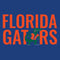 University of Florida Gators Studio Wireless Skin