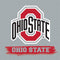 Ohio State University Distressed Logo iPhone 14 Pro Folio Case