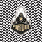 Purdue University Purdue Chevron Beats Solo Pro Skin