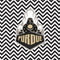 Purdue University Purdue Chevron AirPods Pro 2nd Gen Skin