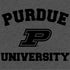Purdue University Purdue Grey Logo iPhone 15 Skin