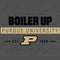 Purdue University Purdue University Boiler Up Apple Pencil (1st Gen, 2017) Skin