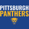 University of Pittsburgh Panthers Wii (Includes 1 Controller) Skin