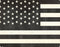 Black & White USA Flag Asus X202 Skin