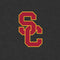 University of Southern California USC Dark Grey Logo Nintendo Switch Lite Skin