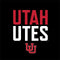 University of Utah Interlocking U Wii (Includes 1 Controller) Skin