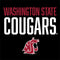 Washington State University Cougars Apple Pencil (1st Gen, 2017) Skin
