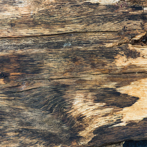 Blue Resin Wood SteelSeries Rival 600 Gaming Mouse Skin