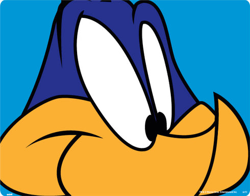 Looney Tunes Road Runner Zoomed In Galaxy Z Flip Skin