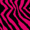 Retro Zebra Nintendo 2DS Skin