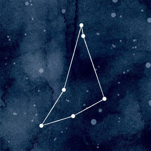 Capricorn Constellation Apple Pencil (1st Gen, 2017) Skin