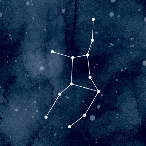 Virgo Constellation Apple Pencil (1st Gen, 2017) Skin