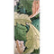 Acanthus by William Morris Galaxy Note 10 Plus Skin