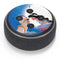 Disney Aladdin and Princess Jasmine Kiss Amazon Echo Dot Skin