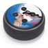 Disney Aladdin and Princess Jasmine Kiss Amazon Echo Dot Skin