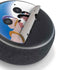 Disney Aladdin and Princess Jasmine Kiss Amazon Echo Dot Skin