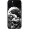 Alchemy Carta Poes Raven iPhone Skins