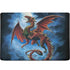 Alchemy Carta Whitby Wyrm MacBook Skins