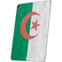 Algeria Flag Distressed Apple iPad Air Skin