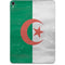 Algeria Flag Distressed Apple iPad Pro Skin
