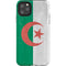 Algeria Flag Distressed iPhone Cases