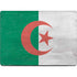Algeria Flag Distressed Apple MacBook Pro 14-inch Skin