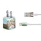 Disney Winnie the Pooh All Characters iPhone Charger (5W USB) Skin