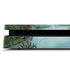 Disney Winnie the Pooh All Characters PS4 Slim Skin