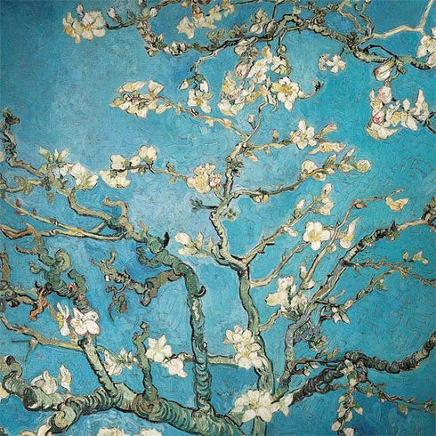 Almond Branches in Bloom by Van Gogh Dell Latitude Skin