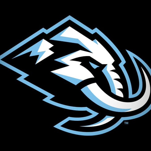 NHL Utah Mammoth Alternate Black Dell Alienware Skin