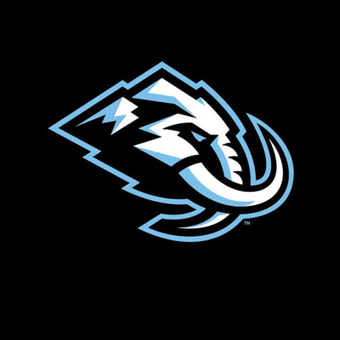 NHL Utah Mammoth Alternate Black iPhone XS Skin