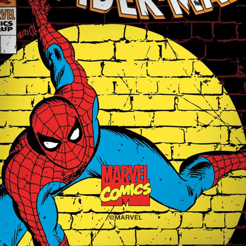 Marvel Classic Comics Amazing Spider-Man 70 Amazon Echo Skin