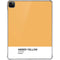 Amber Yellow iPad Pro 11in (2024) Clear Case