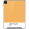 Amber Yellow iPad Cases
