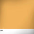 Amber Yellow Dell Latitude Skin